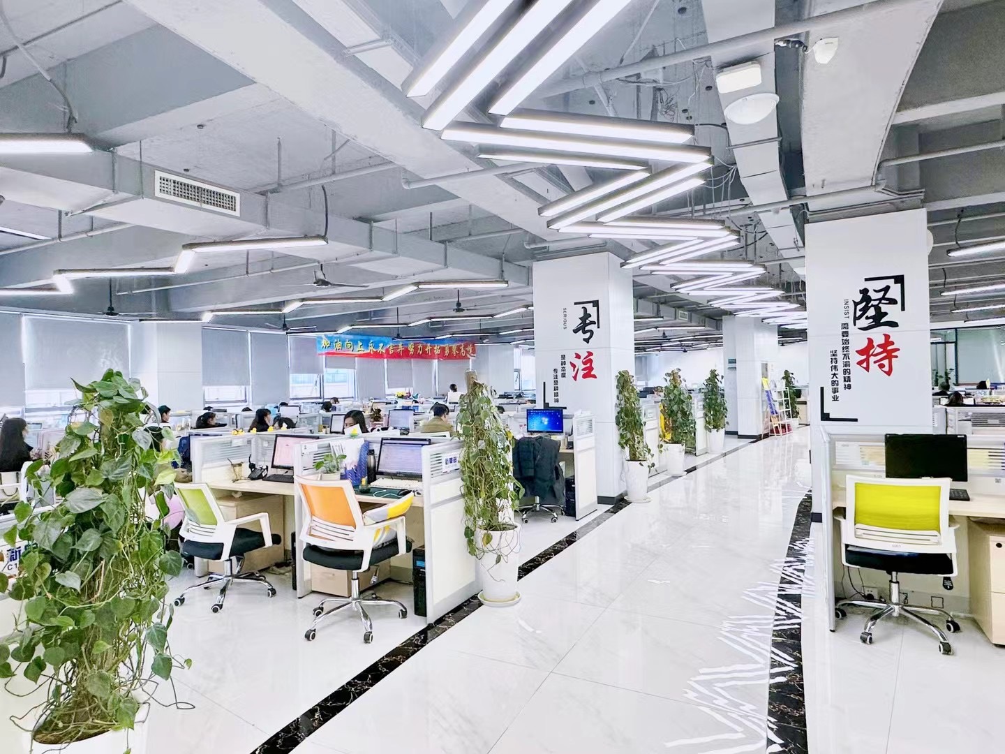 公司介绍图片