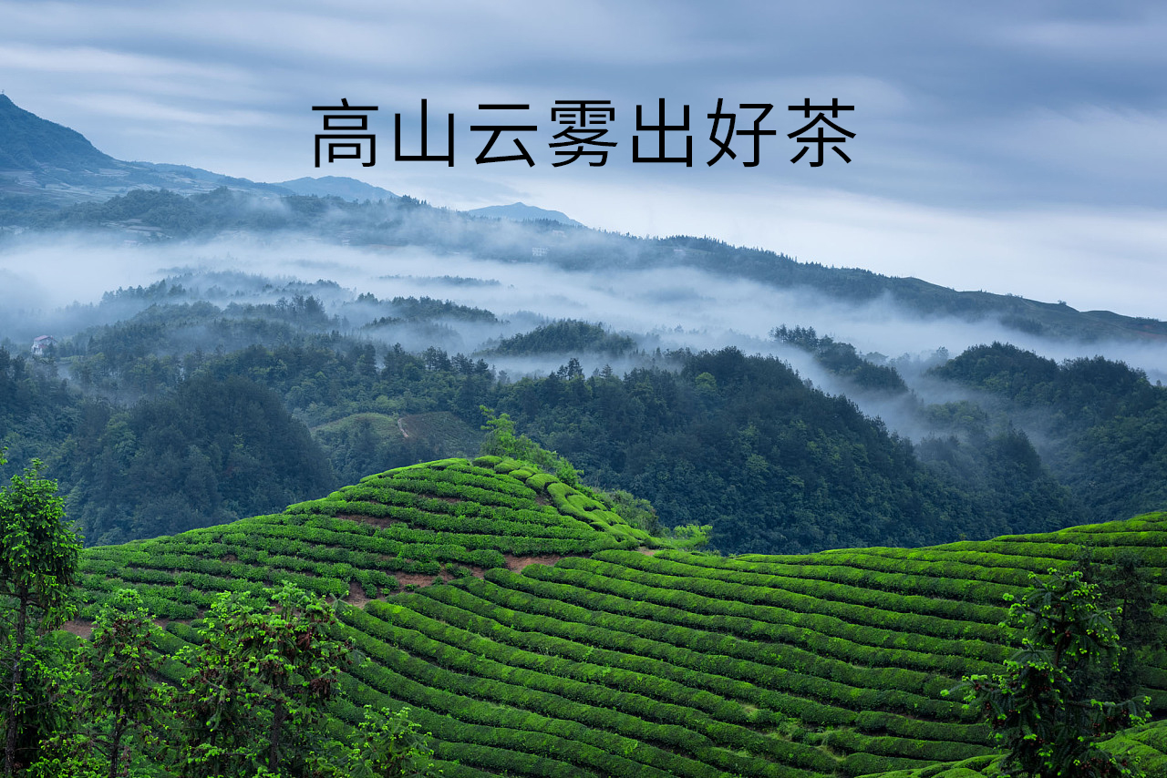 供需图片