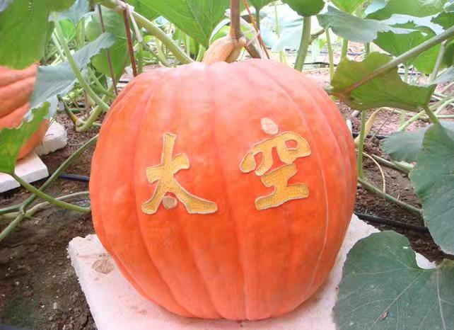 供需图片