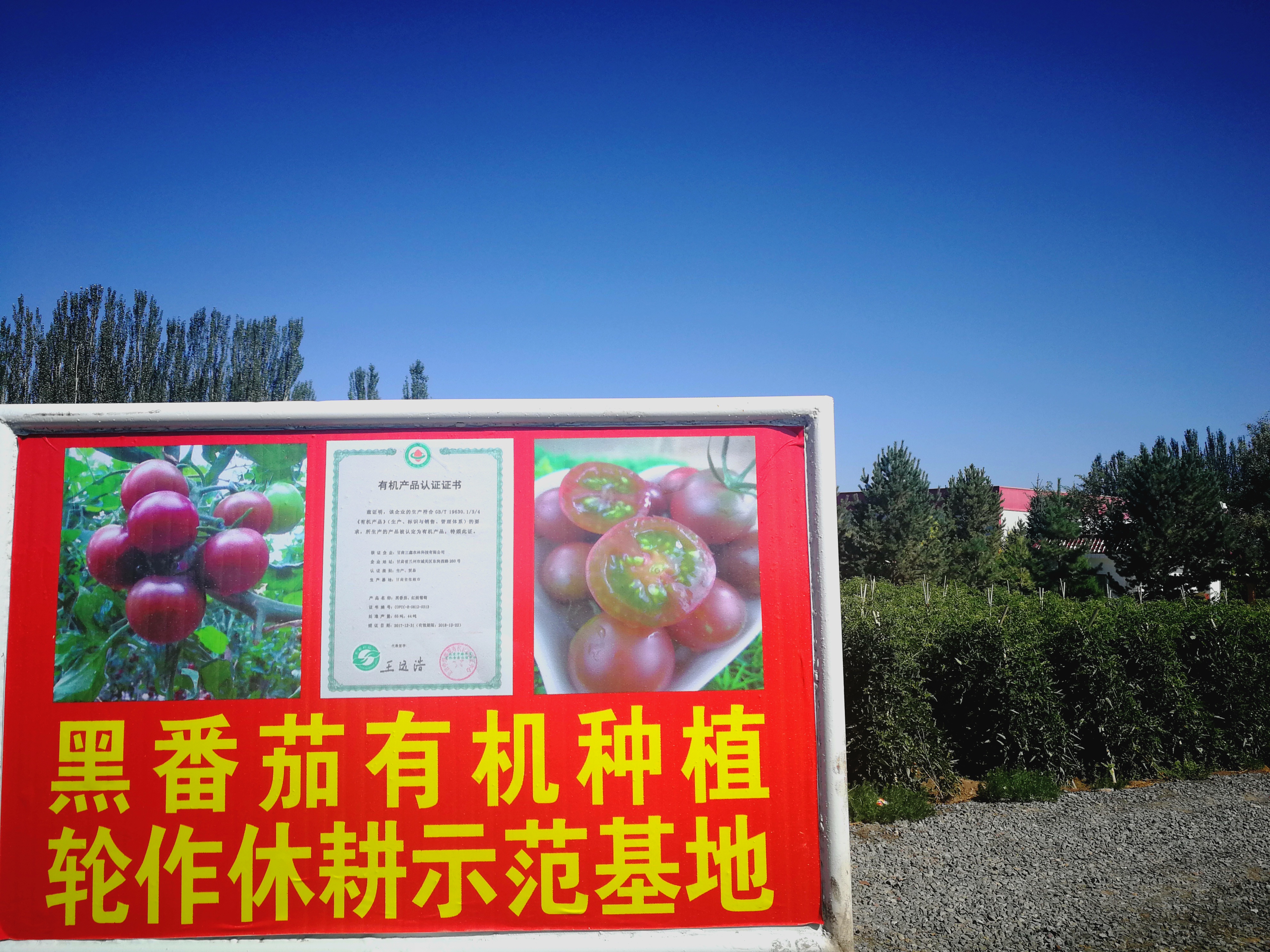供需图片