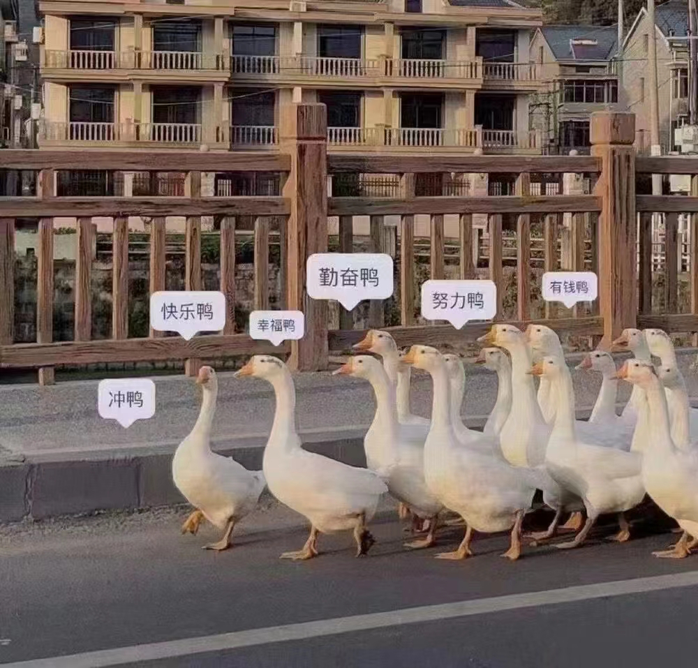 供需图片