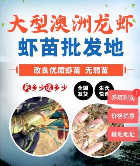 供需图片