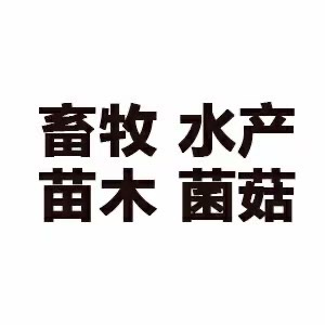 供需图片