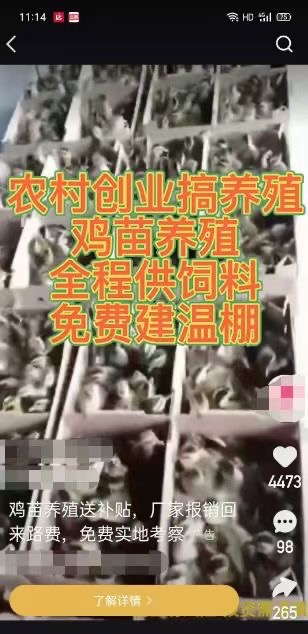 供需图片
